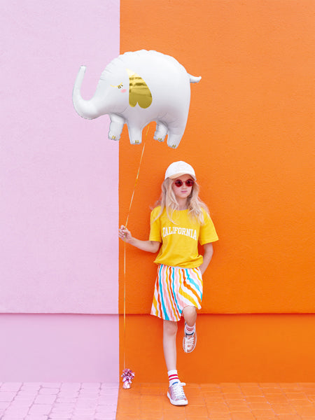 balionai balionas drambliukas dramblys