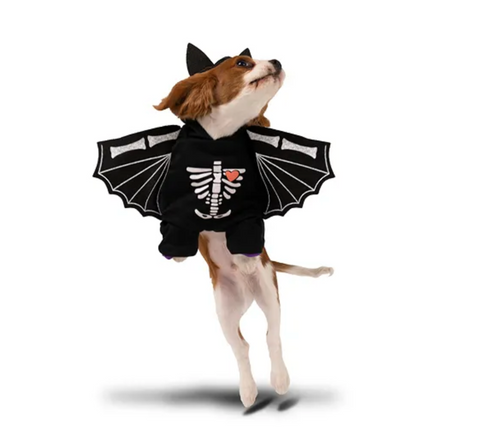 helovyno kostiumas šuniui katei helovynas gyvūnai apranga švenčių atributika mažeikiai