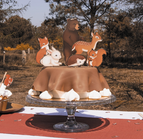 torto keksiuku papuosimai misko gyvunai