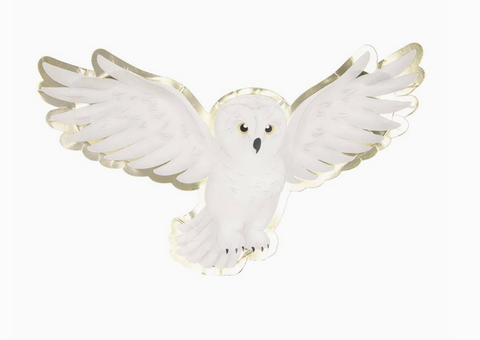 haris poteris lekstes peleda hedviga gimtadienio dekoracijos hario poterio tema