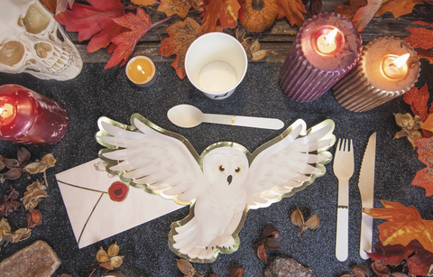 haris poteris lekstes peleda hedviga gimtadienio dekoracijos hario poterio tema