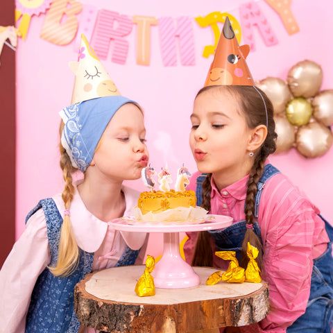 gimtadienio kepurėlės arkliukų tema arkliai dekoracijos ūkio tema šventė