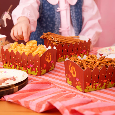 dezutes cipsams skanestams gimtadieniui arkliukų ūkio tema gyvūnai